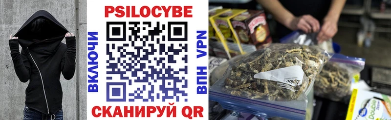 купить наркотик  Богородск  Галлюциногенные грибы Psilocybine cubensis 